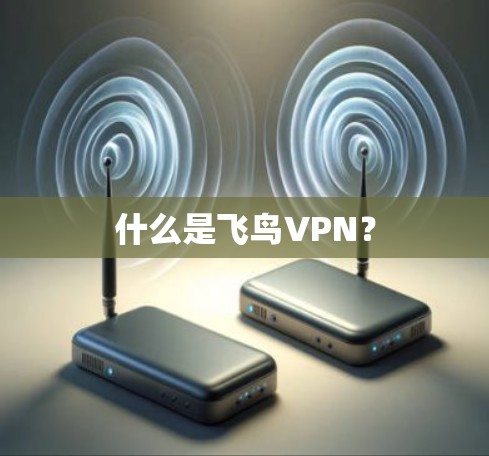 什么是飞鸟VPN？