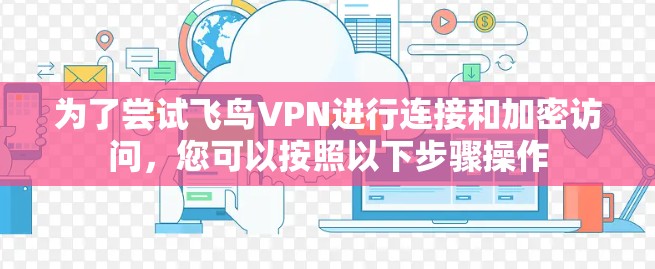 为了尝试飞鸟VPN进行连接和加密访问，您可以按照以下步骤操作