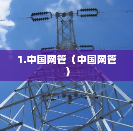 1.中国网管（中国网管）
