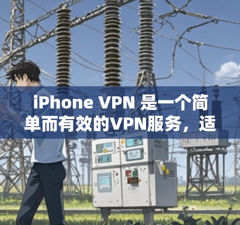 iPhone VPN 是一个简单而有效的VPN服务，适合需要控制设备访问的用户。以下是对它的详细分析