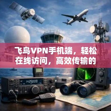 飞鸟VPN手机端，轻松在线访问，高效传输的便捷选择