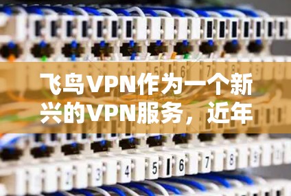 飞鸟VPN作为一个新兴的VPN服务，近年来因其安全性和独特的功能而受到关注。以下是对其功能的初步评估