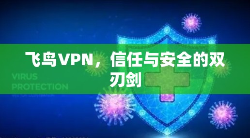 飞鸟VPN，信任与安全的双刃剑
