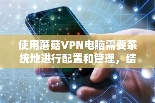 使用蘑菇VPN电脑需要系统地进行配置和管理，结合网络安全和数据安全的原则。以下是一个详细的步骤指南，帮助你顺利使用蘑菇VPN