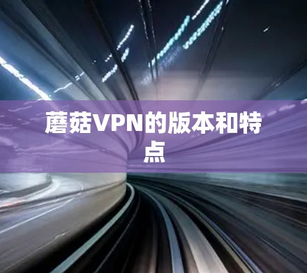 蘑菇VPN的版本和特点