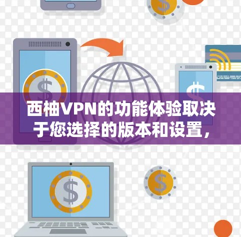 西柚VPN的功能体验取决于您选择的版本和设置，但通常包括以下主要功能