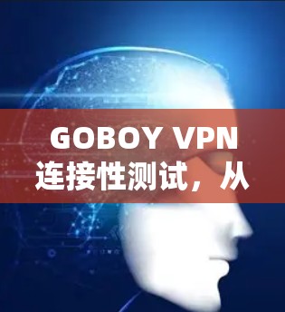 GOBOY VPN连接性测试，从连接到稳定性的全面评估