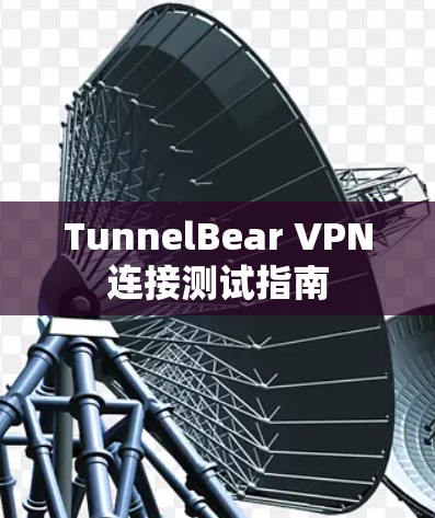 TunnelBear VPN连接测试指南