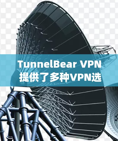 TunnelBear VPN 提供了多种VPN选项，包括 SingleSign-In 和 MultiSign-In。以下是对其速度体验的详细分析
