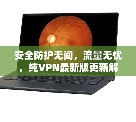 安全防护无间，流量无忧，纯VPN最新版更新解析