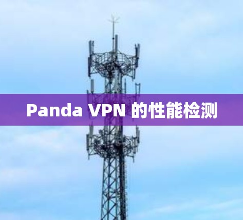 Panda VPN 的性能检测