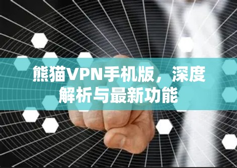 熊猫VPN手机版，深度解析与最新功能