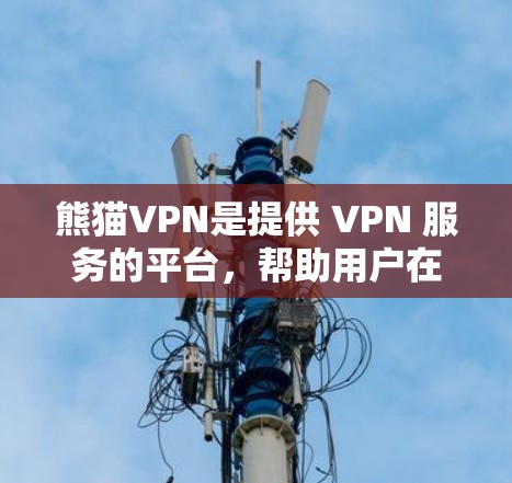 熊猫VPN是提供 VPN 服务的平台，帮助用户在线访问外部服务器和网络资源。以下是关于熊猫VPN线路选择的详细信息