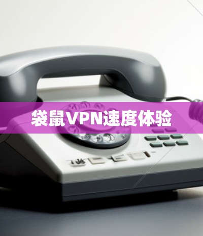 袋鼠VPN速度体验