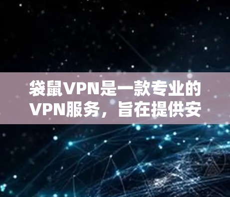 袋鼠VPN是一款专业的VPN服务，旨在提供安全、可靠和容易使用的VPN解决方案。以下是其主要功能的详细解释