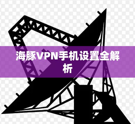 海豚VPN手机设置全解析 海豚VPN手机设置全解析