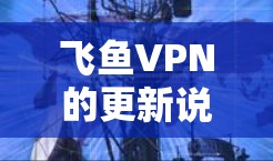 飞鱼VPN的更新说明通常会包含以下内容